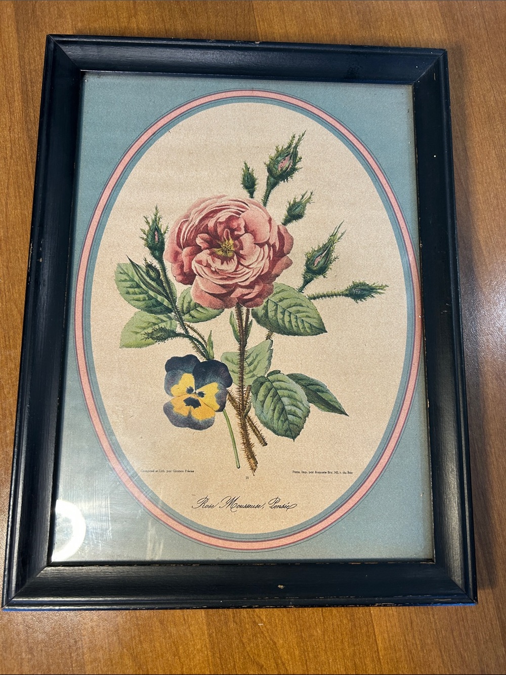 Framed Vintage Pink Rose Botanical Wall Art - Home Accents